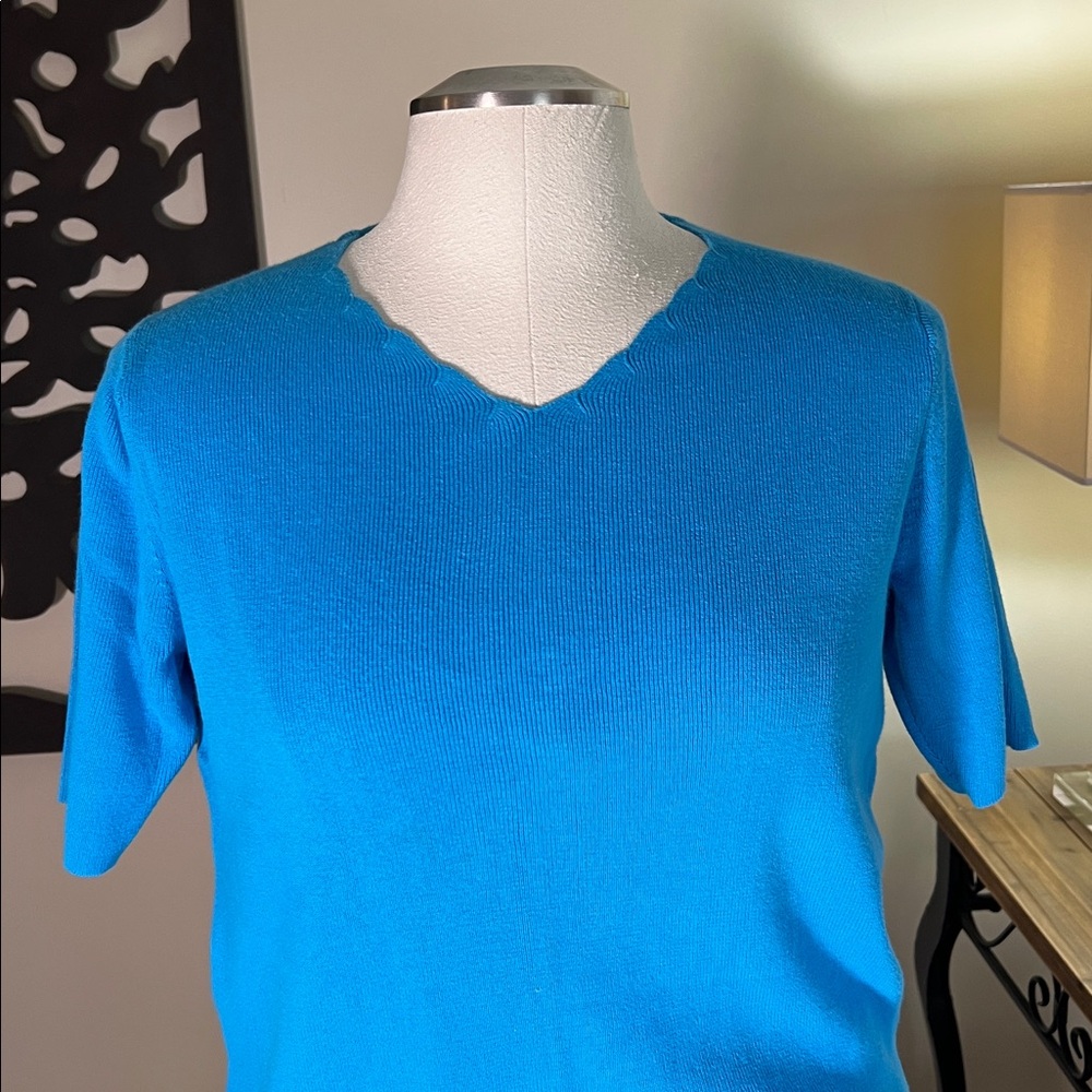 Pierre Cardin cotton v-neck blue short sleeve knit pullover top L